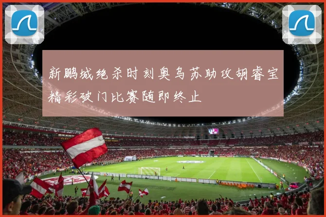 新鹏城绝杀时刻奥乌苏助攻胡睿宝精彩破门比赛随即终止