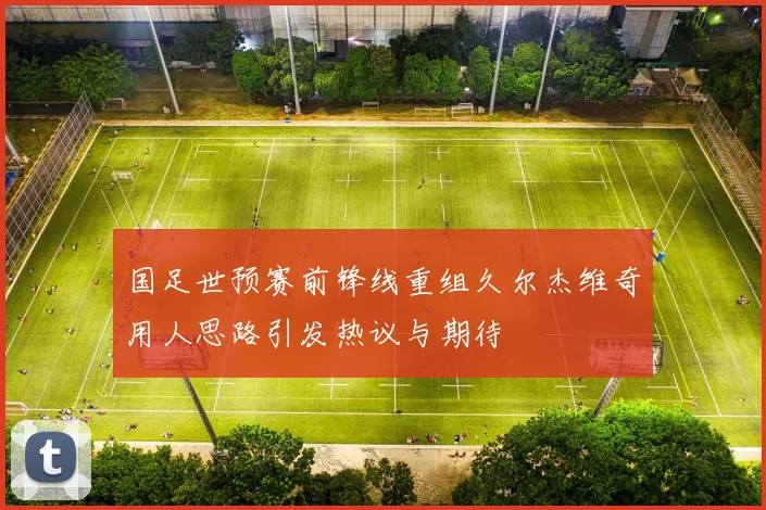 国足世预赛前锋线重组久尔杰维奇用人思路引发热议与期待